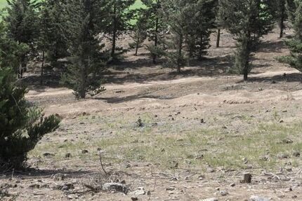 بوستان کوهسار تعطیل شد