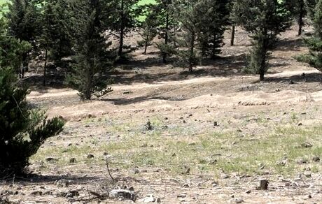 بوستان کوهسار تعطیل شد