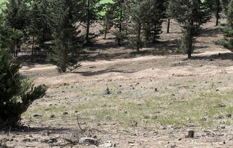 بوستان کوهسار تعطیل شد