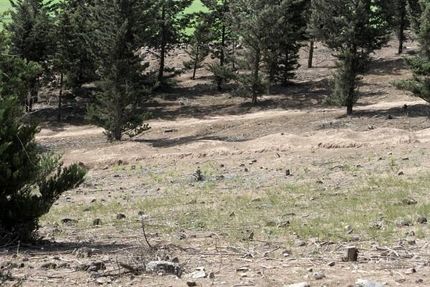 بوستان کوهسار تعطیل شد