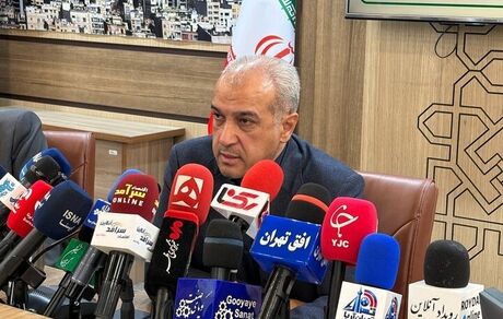 ۲۴۰۰ درخت خیابان ولیعصر شناسنامه‌دار شد