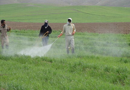 لغو ممنوعیت صادرات سموم و آفت‌کش‌های کشاورزی بعد از ۴ سال