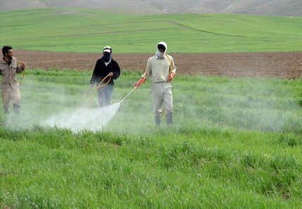 لغو ممنوعیت صادرات سموم و آفت‌کش‌های کشاورزی بعد از ۴ سال