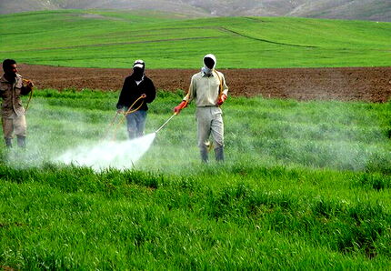 لغو ممنوعیت صادرات سموم و آفت‌کش‌های کشاورزی بعد از ۴ سال