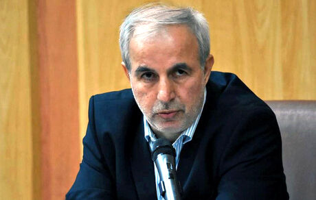 زور مافیاهای واردات با ارز ۴۲۰۰ مانع تحقیق شده است / دولت به مافیای برنج هم ورود کند