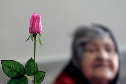 هشدار درمورد وضعیت سالمندی در تهران/ مناطق ۲،۴ و ۵ دارای بیشترین سالمند