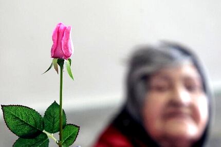 هشدار درمورد وضعیت سالمندی در تهران/ مناطق ۲،۴ و ۵ دارای بیشترین سالمند