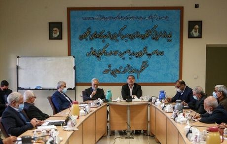صنایع تبدیلی بخش کشاورزی دچار ضعف هستند/لزوم توجه به دیپلماسی غذایی