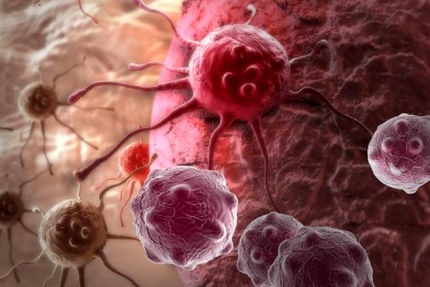 سرطان، یک بیماری ژنتیکی