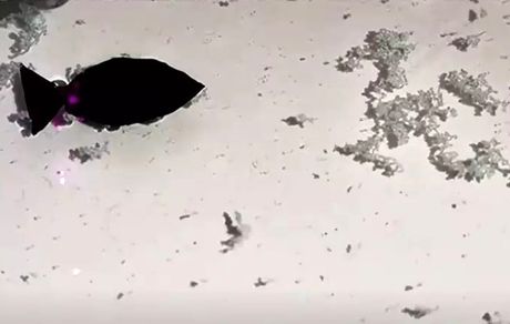 ماهی رباتیک پلاستیک خوار چینی به جنگ آلودگی در اقیانوس‌ها می‌آید