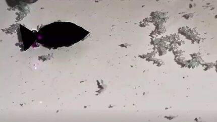 ماهی رباتیک پلاستیک خوار چینی به جنگ آلودگی در اقیانوس‌ها می‌آید