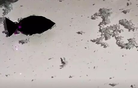 ماهی رباتیک پلاستیک خوار چینی به جنگ آلودگی در اقیانوس‌ها می‌آید
