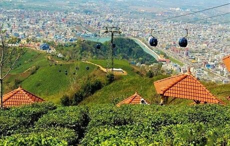 وعده ارزیابی کمیسیون ملی یونسکو در ایران: «پایتخت چای ایران» در آستانه ثبت جهانی