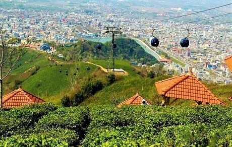 وعده ارزیابی کمیسیون ملی یونسکو در ایران: «پایتخت چای ایران» در آستانه ثبت جهانی