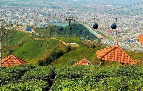 وعده ارزیابی کمیسیون ملی یونسکو در ایران: «پایتخت چای ایران» در آستانه ثبت جهانی