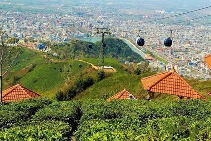 وعده ارزیابی کمیسیون ملی یونسکو در ایران: «پایتخت چای ایران» در آستانه ثبت جهانی