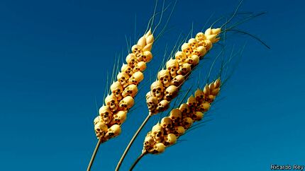 با ادامه جنگ اوکراین، سال 2023 فاجعه غذایی در جهان روی می دهد