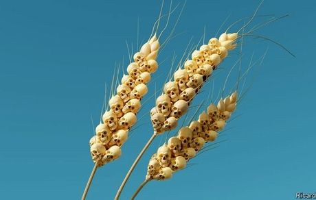 با ادامه جنگ اوکراین، سال 2023 فاجعه غذایی در جهان روی می دهد