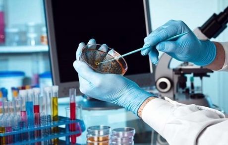 تهیه برنامه جامع «دانش بنیان» برای 60 دانشگاه علوم پزشکی کشور/فعالیت 1670 شرکت دانش بنیان حوزه سلامت