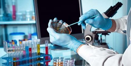 تهیه برنامه جامع «دانش بنیان» برای 60 دانشگاه علوم پزشکی کشور/فعالیت 1670 شرکت دانش بنیان حوزه سلامت