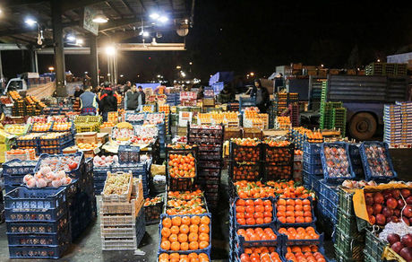 اعلام آمادگی سازمان میادین میوه و تره بار برای عرضه مستقیم "پرتقال" و "کیوی" شب عید