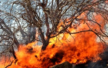 از بین رفتن ۱۹۱۶.۱۷ هکتار از مزارع، باغات و منابع طبیعی استان لرستان بدلیل آتش سوزی