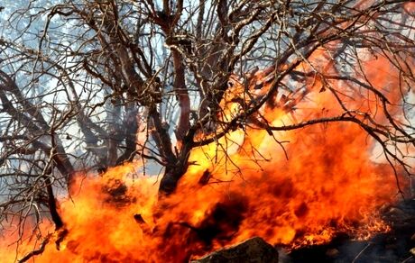 از بین رفتن ۱۹۱۶.۱۷ هکتار از مزارع، باغات و منابع طبیعی استان لرستان بدلیل آتش سوزی