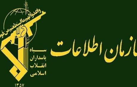 دستگیری ۱۲۳ نفر عامل دشمن در استان‌های همدان، سمنان و گیلان