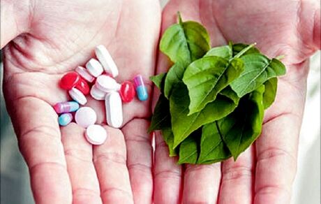 صدور مجوز مطالعات بالینی ۸۵ طرح طب سنتی برای کمک به بهبود بیماران کرونا