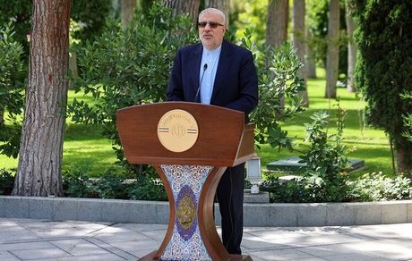 وزیر نفت تایید کرد: کارت سوخت جایگاه‌ها محدود شده است