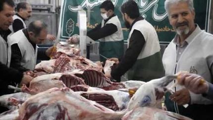 تغییر ساعات فعالیت مراکز عرضه بهداشتی دام در روزهای عرفه و عید سعید قربان