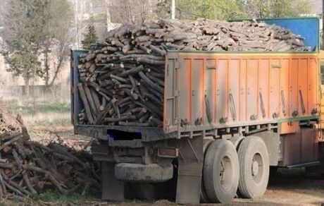 از ابتدای امسال، ۵۰ تن چوب قاچاق در مهاباد کشف شده است