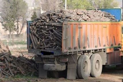 از ابتدای امسال، ۵۰ تن چوب قاچاق در مهاباد کشف شده است