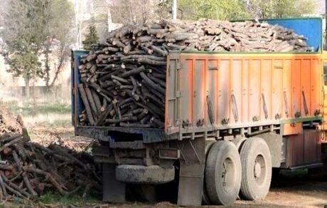 از ابتدای امسال، ۵۰ تن چوب قاچاق در مهاباد کشف شده است