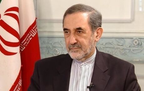 ولایتی: مردم ترکیه در خصوص مسجد ایاصوفیه، مدیون رئیس‌ جمهور کشورشان هستند