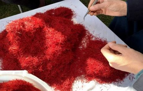 زعفران افغانستان در صدر برترین محصول جهانی