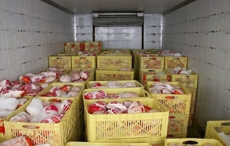 منتظر گرانی مرغ باشید