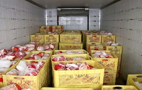 منتظر گرانی مرغ باشید