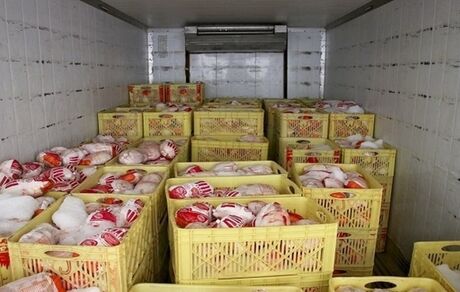 منتظر گرانی مرغ باشید