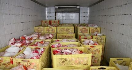 منتظر گرانی مرغ باشید