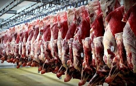 برف و یخبندان و اختلال در رفت و آمد علت افزایش قیمت گوشت/ تغییری در قیمت دام زنده نداشتیم