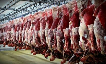 برف و یخبندان و اختلال در رفت و آمد علت افزایش قیمت گوشت/ تغییری در قیمت دام زنده نداشتیم