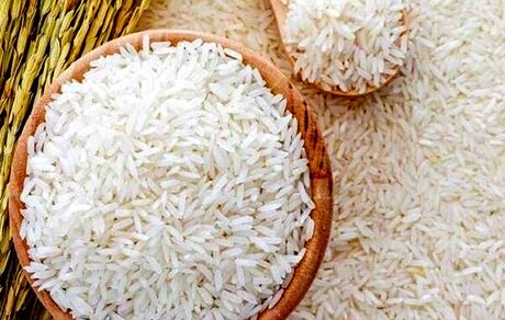 قیمت های فعلی برنج منطقی و عرف نیست/ برخی از کشاورزان سودجویی می‌کنند