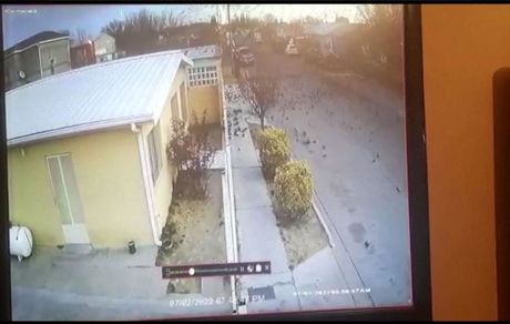 مرگ ناگهانی و بدون علت صدها پرنده در آسمان مکزیک