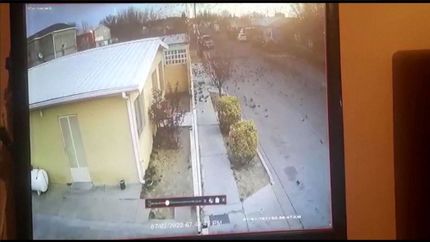 مرگ ناگهانی و بدون علت صدها پرنده در آسمان مکزیک