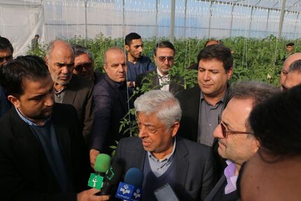 
کشاورز: اعتراض کشاورزان در خصوص قیمت پایین گندم به حق است
