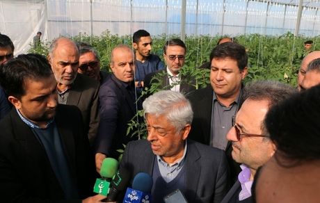 
کشاورز: اعتراض کشاورزان در خصوص قیمت پایین گندم به حق است
