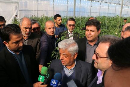 
کشاورز: اعتراض کشاورزان در خصوص قیمت پایین گندم به حق است
