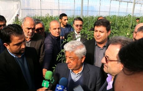
کشاورز: اعتراض کشاورزان در خصوص قیمت پایین گندم به حق است
