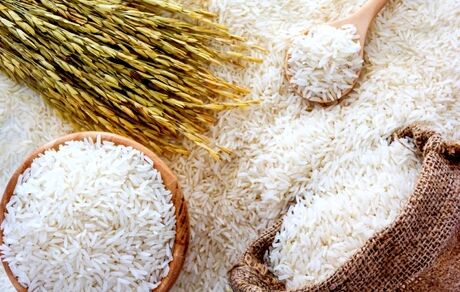 برنج یک گام تا بورسی شدن/1000 تن برنج مرحله اول عرضه می شود